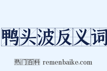鸭头波反义词是什么意思的图片